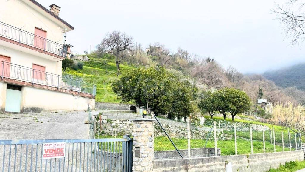 Villa in vendita a Belvedere Marittimo contrada Laise