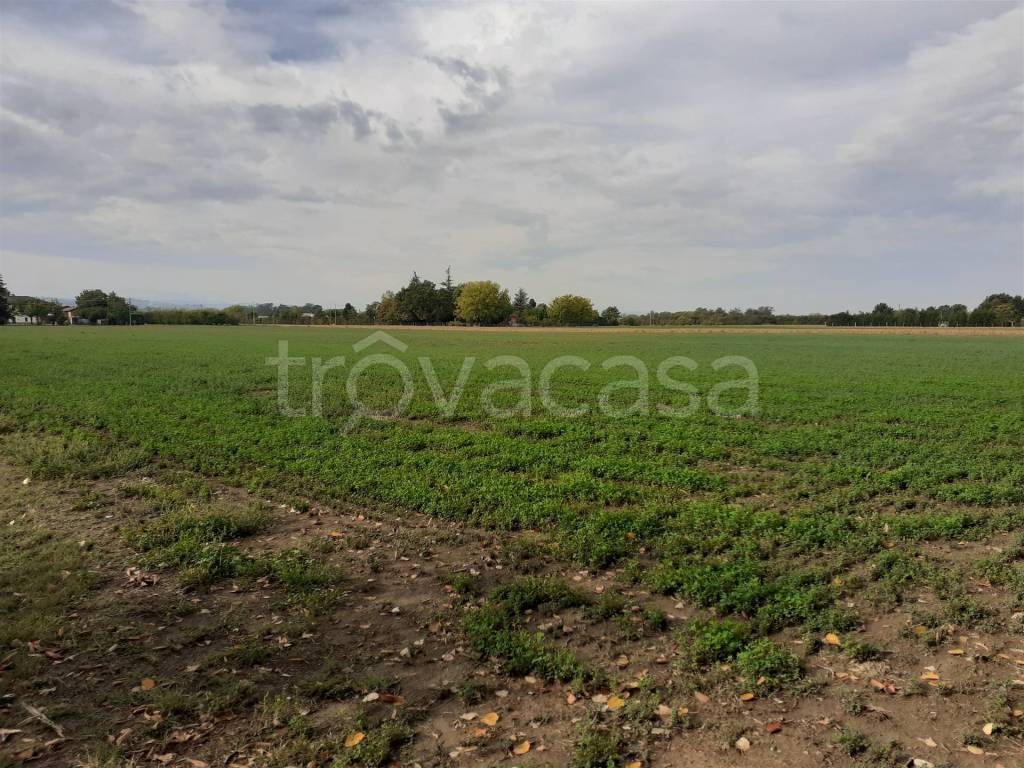 Terreno Agricolo in vendita a Valsamoggia