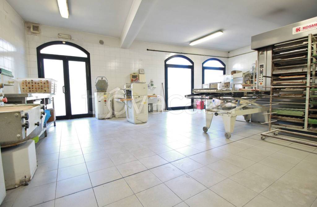 immagine annuncio 5 di 13