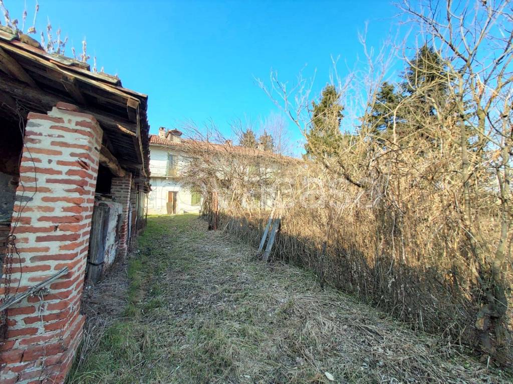 immagine annuncio 11 di 15