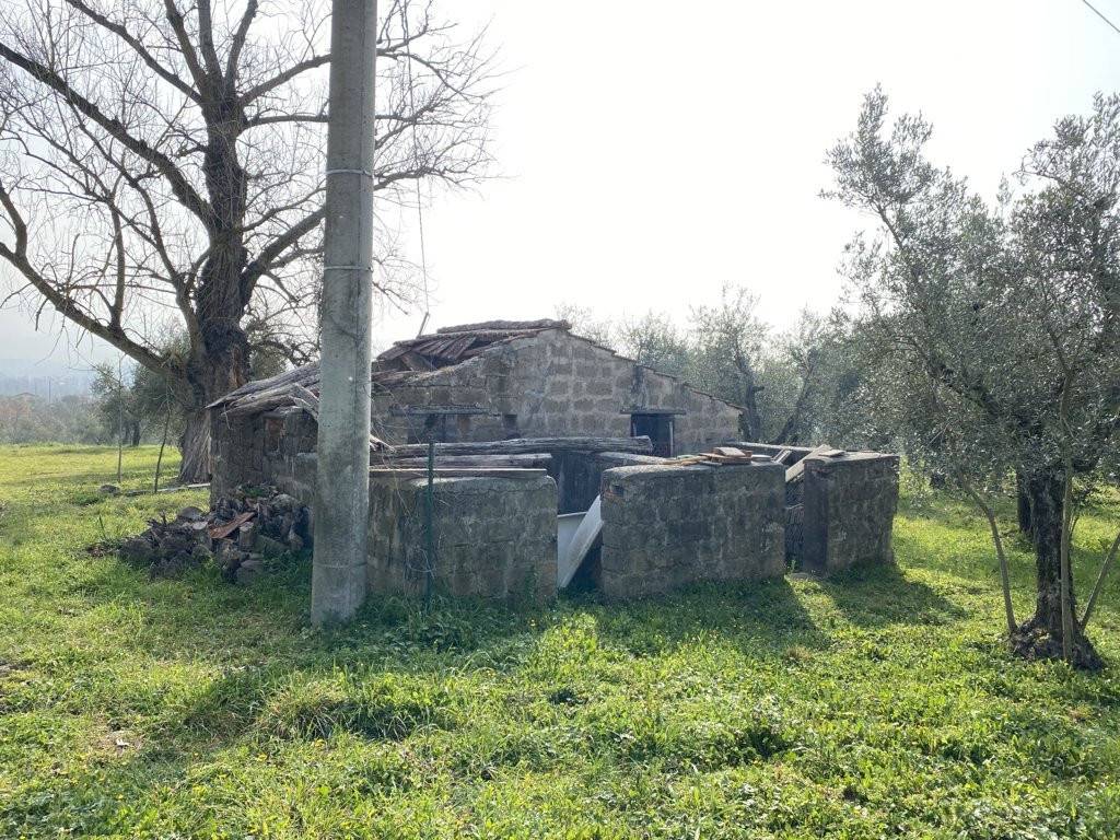 immagine annuncio 4 di 12