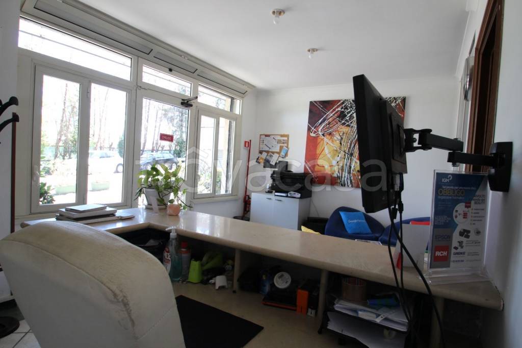 immagine annuncio 11 di 15