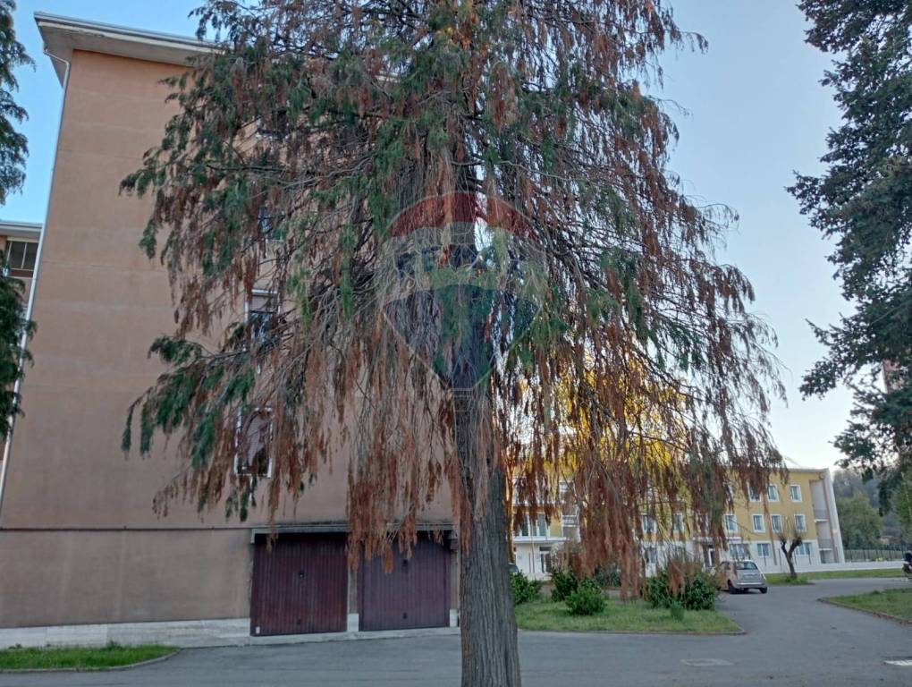 immagine annuncio 11 di 12