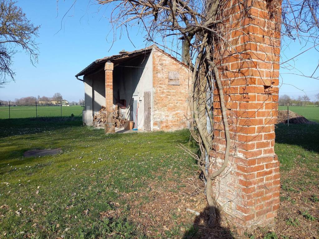 immagine annuncio 4 di 14