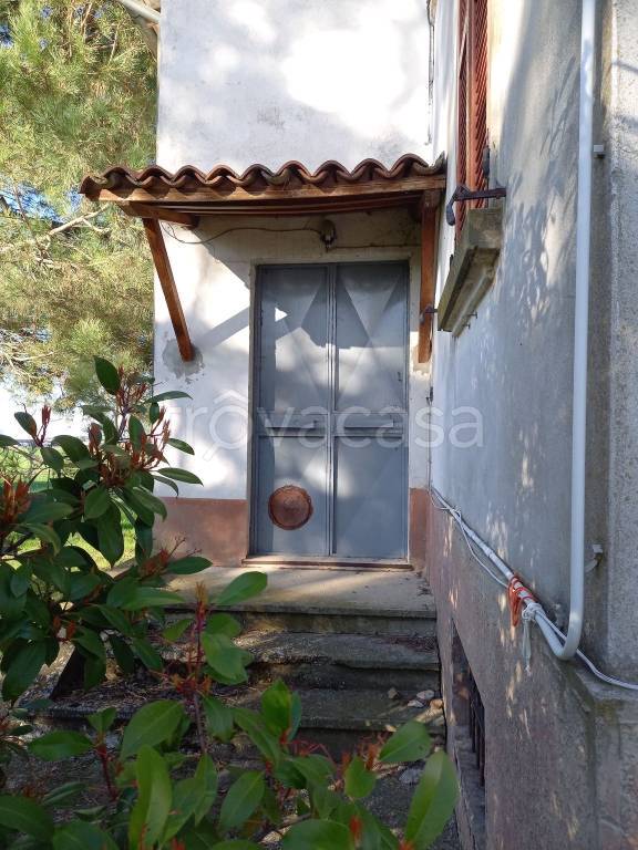 immagine annuncio 7 di 14