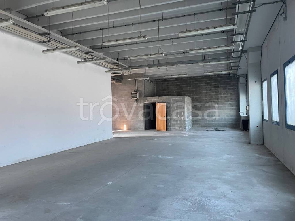 immagine annuncio 3 di 14