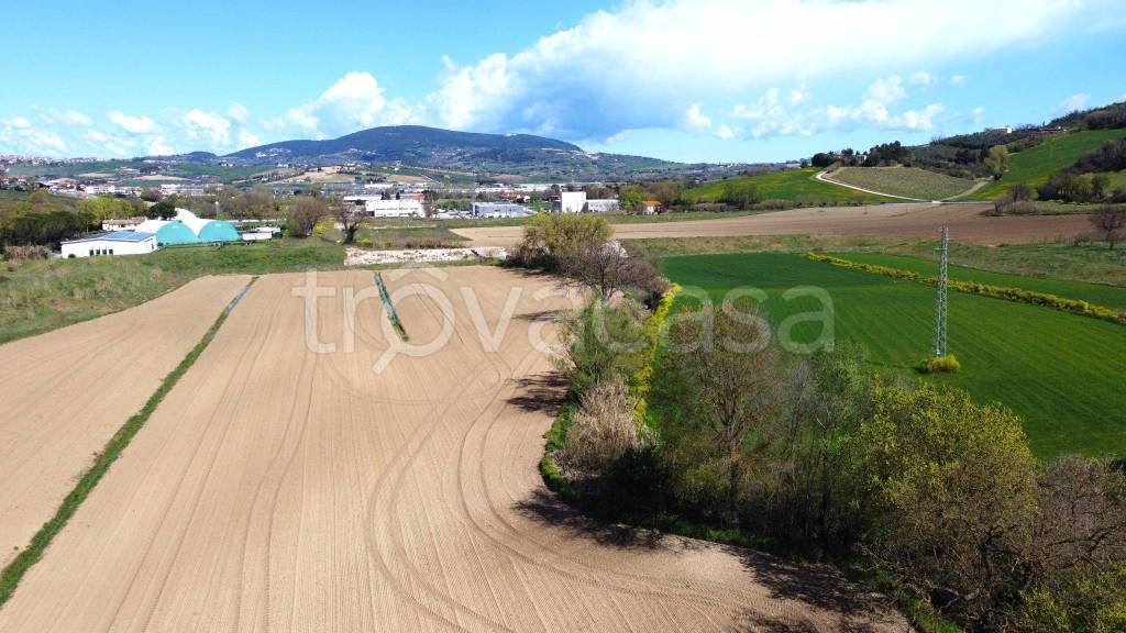 Terreno Agricolo in vendita a Castelfidardo via Sardegna, 4