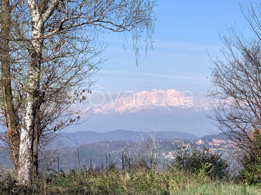 immagine annuncio 3 di 14
