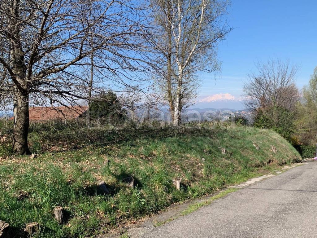 immagine annuncio 12 di 14