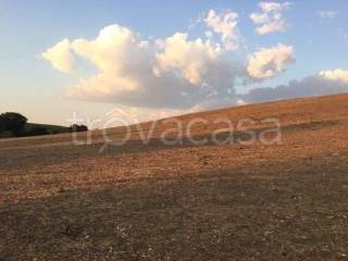 Terreno Agricolo in vendita ad Ardea via Valle Caia