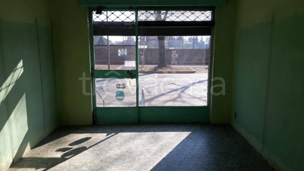 immagine annuncio 4 di 6