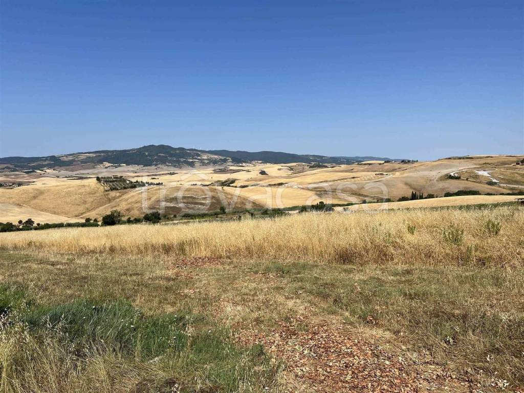Terreno Agricolo in vendita a Volterra