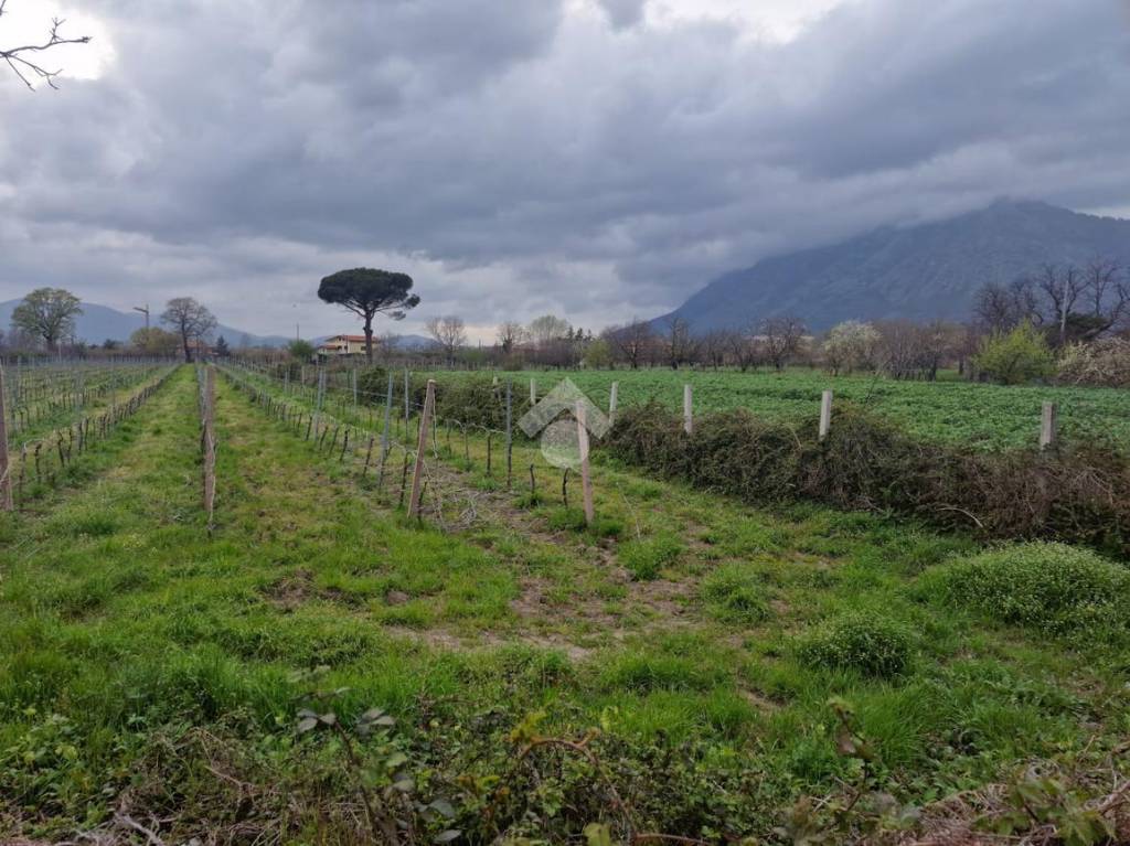 Terreno Residenziale in vendita a Montesarchio via Capitorre