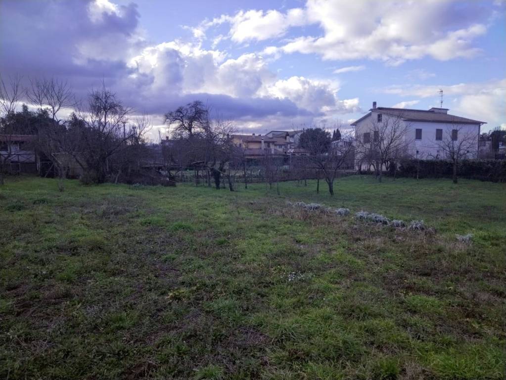 immagine annuncio 7 di 14