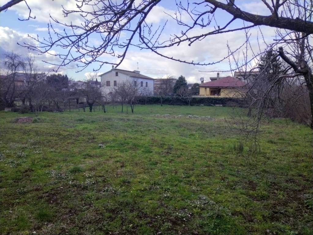 immagine annuncio 9 di 14