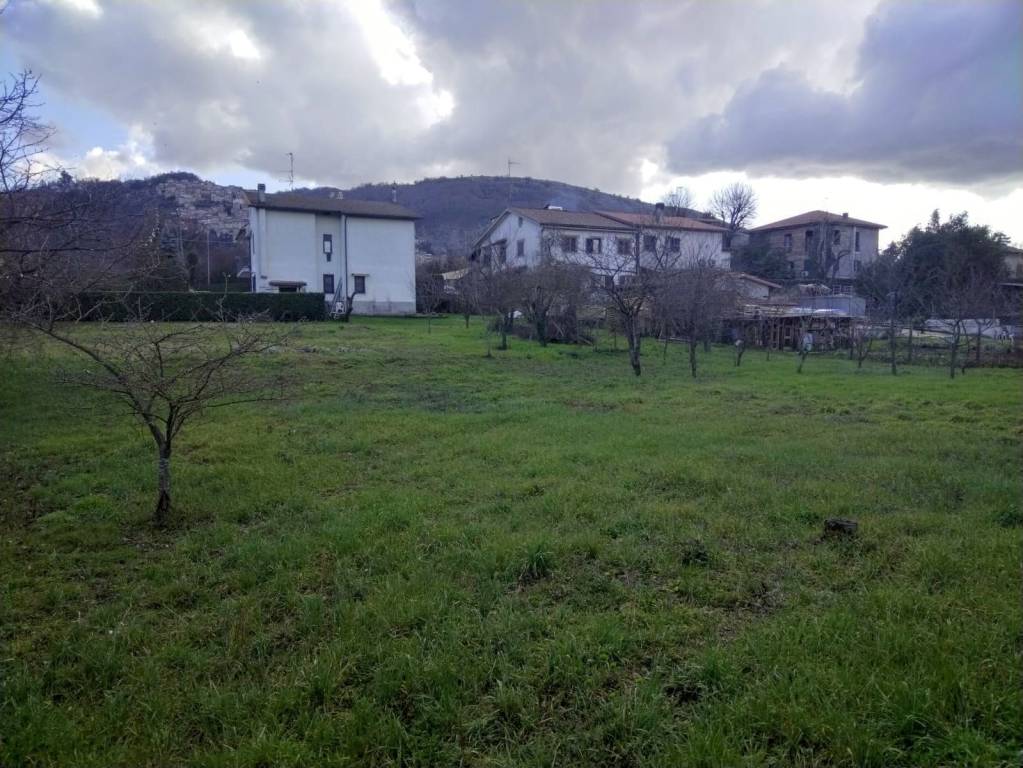 immagine annuncio 10 di 14