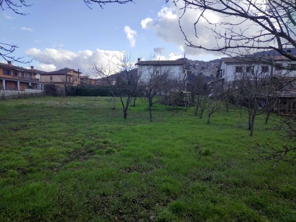 immagine annuncio 12 di 14