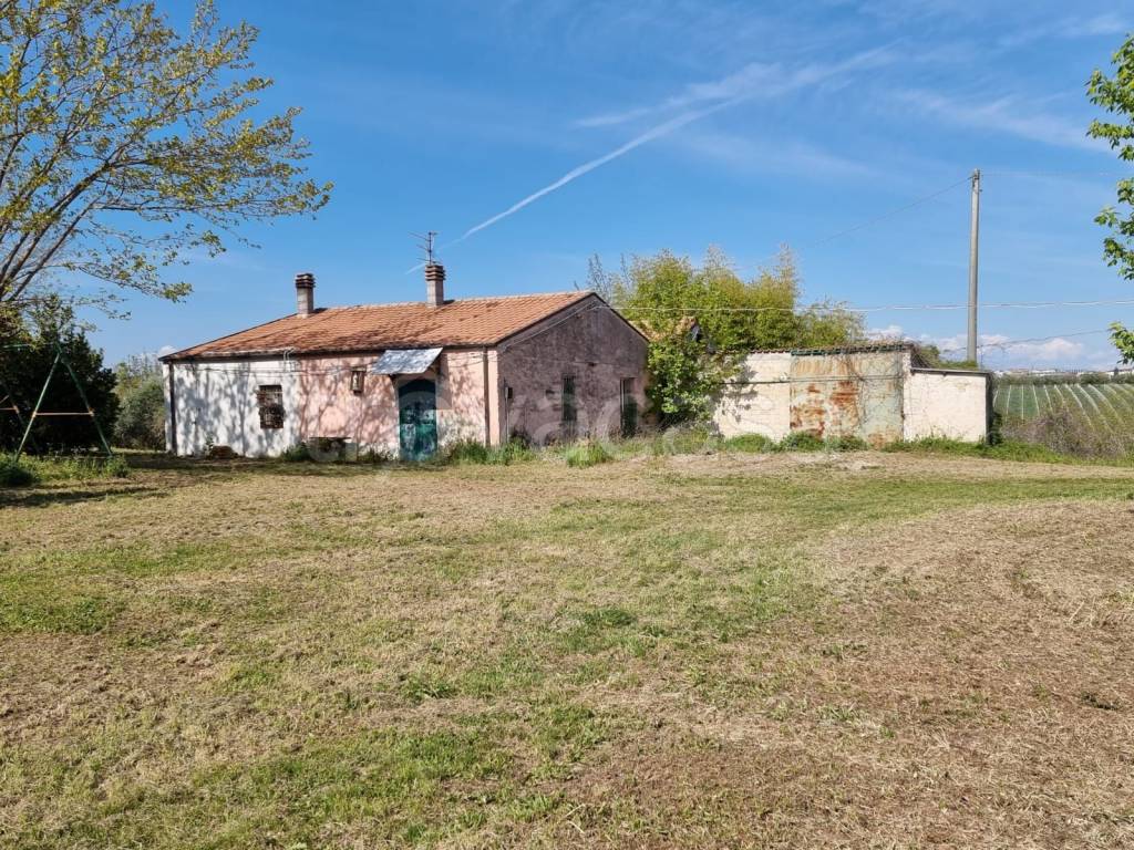 immagine annuncio 1 di 9