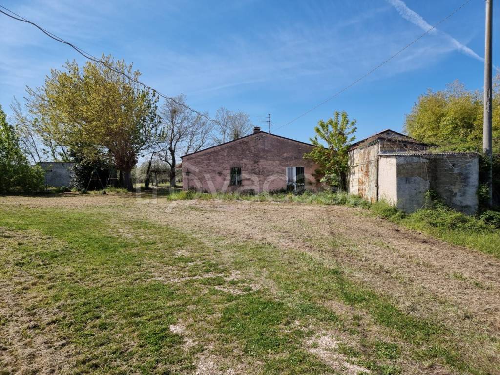 immagine annuncio 2 di 9