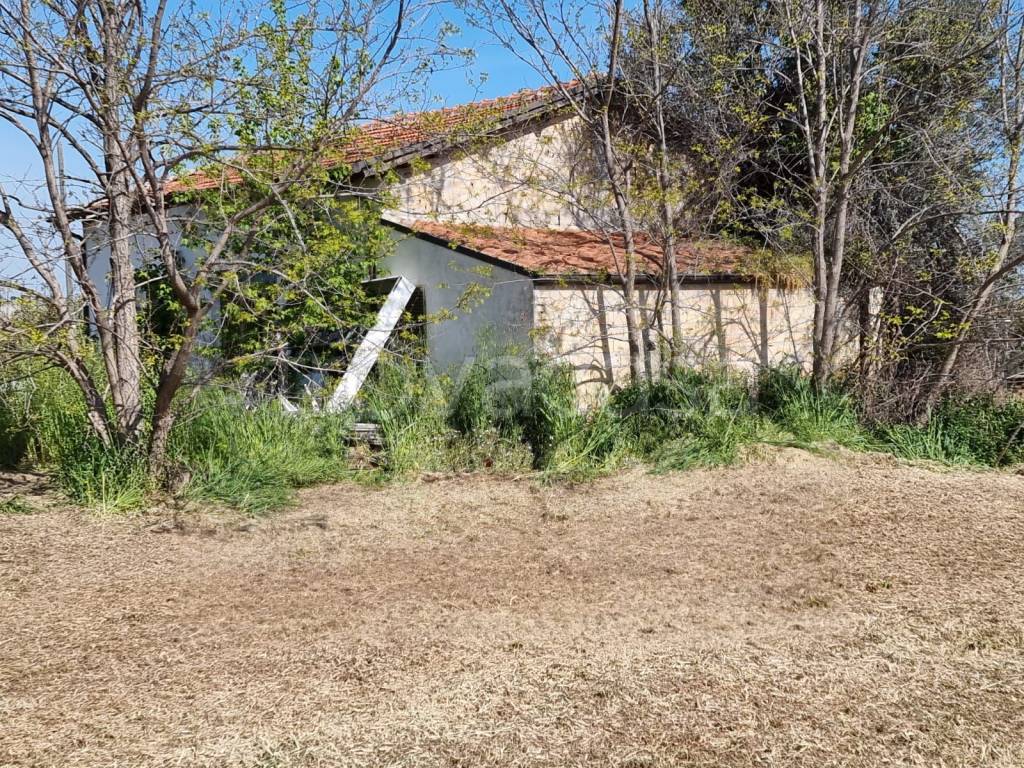 immagine annuncio 3 di 9