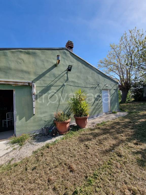 immagine annuncio 4 di 9