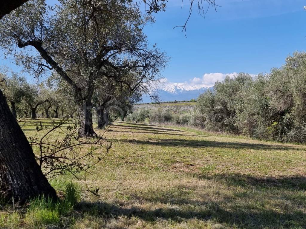 immagine annuncio 7 di 9