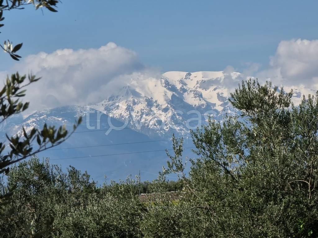 immagine annuncio 8 di 9