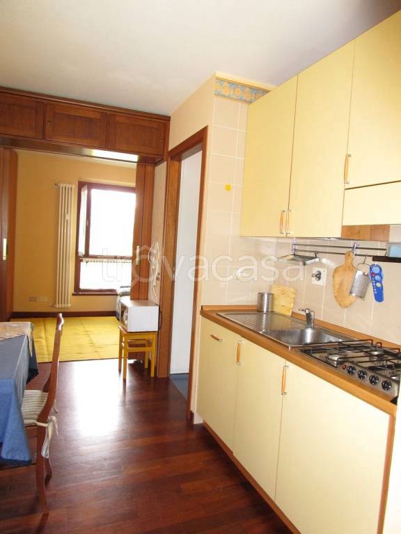 immagine annuncio 2 di 14