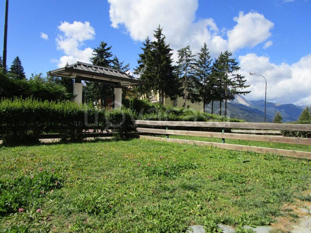 immagine annuncio 1 di 14