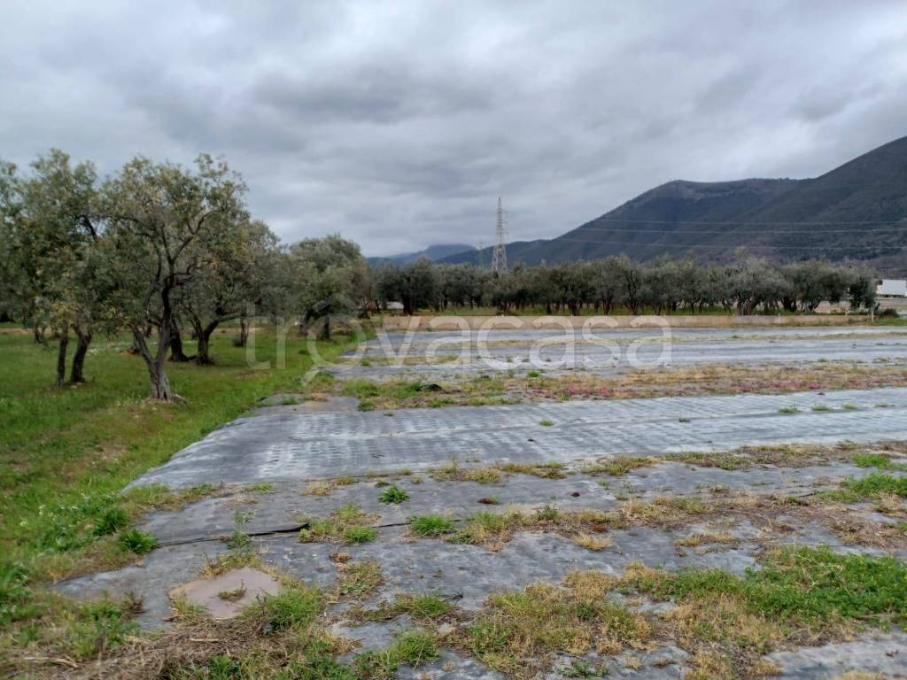 Terreno Agricolo in vendita ad Albenga via Piamboschi