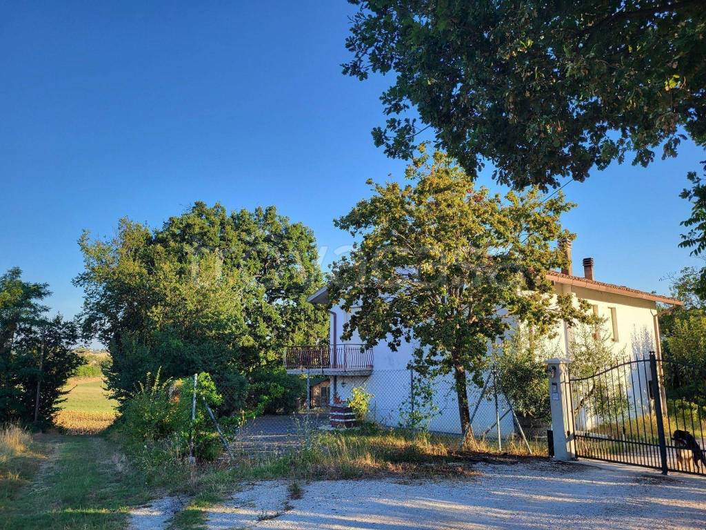 Casa Indipendente in in vendita da privato a Castelleone di Suasa contrada Case Nuove, 36