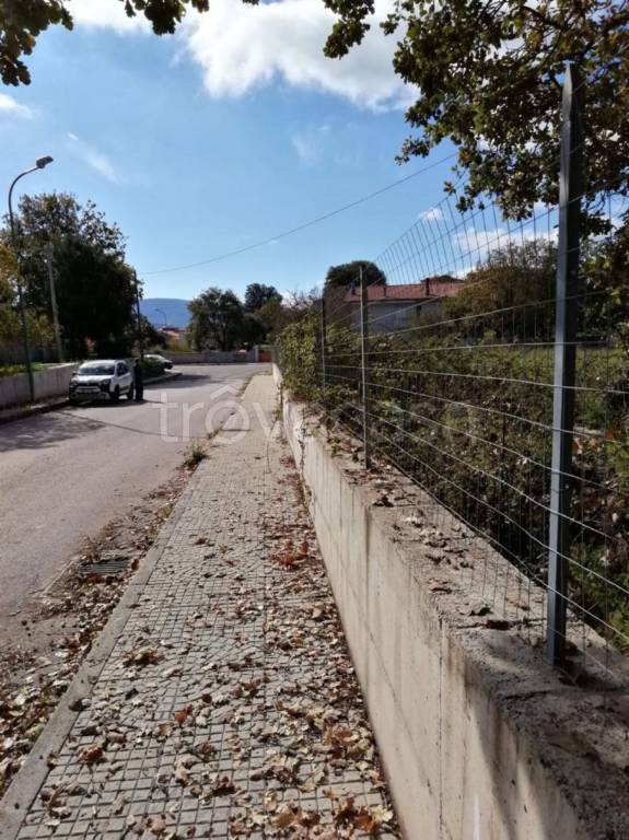 immagine annuncio 3 di 6