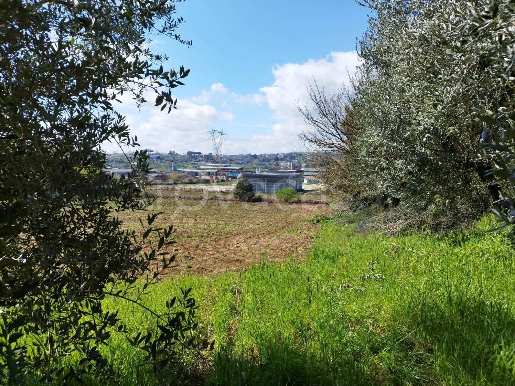 immagine annuncio 1 di 12
