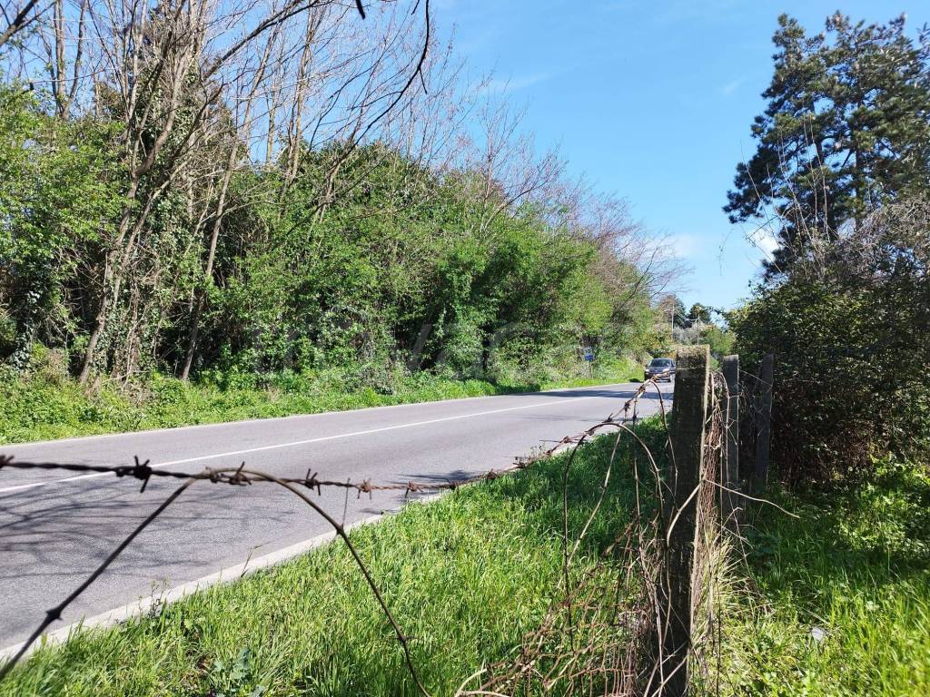immagine annuncio 5 di 12