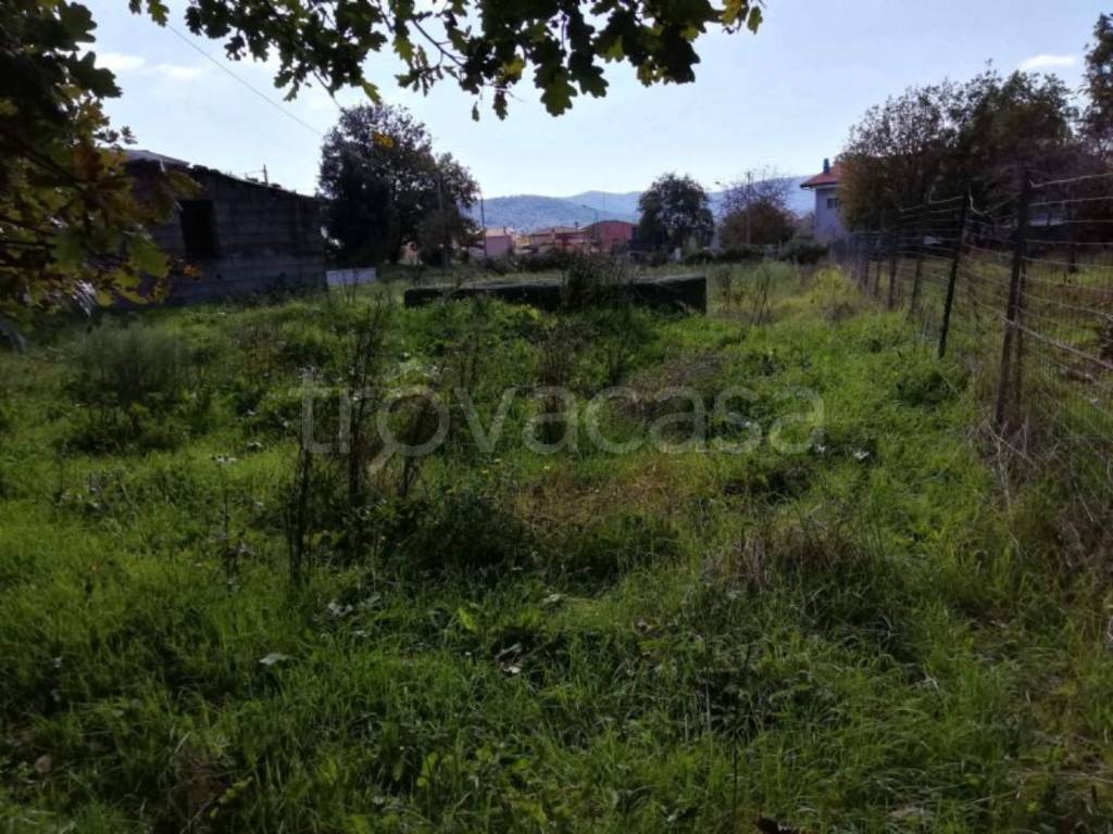 immagine annuncio 1 di 6