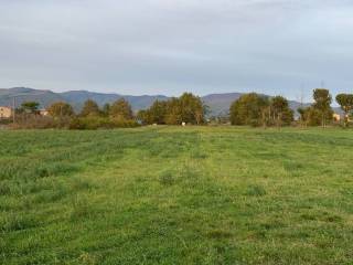 Terreno agricolo in vendita ad agliana via francesco ferrucci, 72