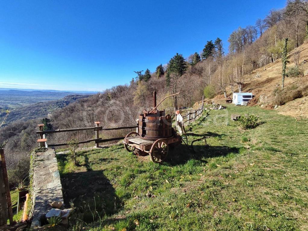 immagine annuncio 12 di 15