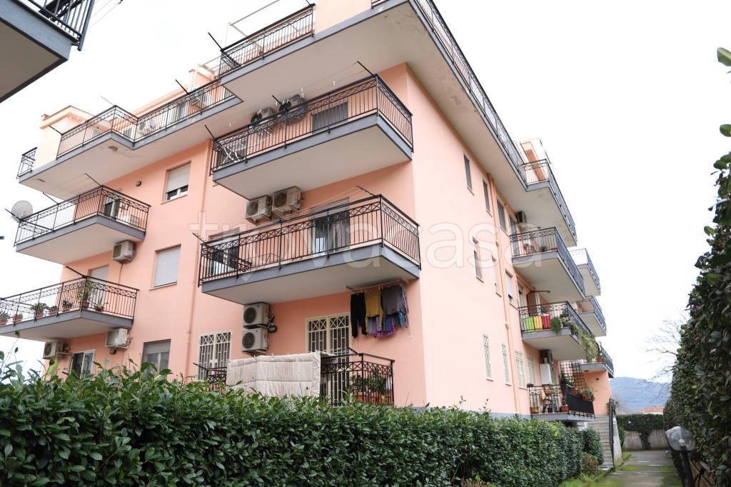 Appartamento in vendita a Santa Maria a Vico via Diana, 41