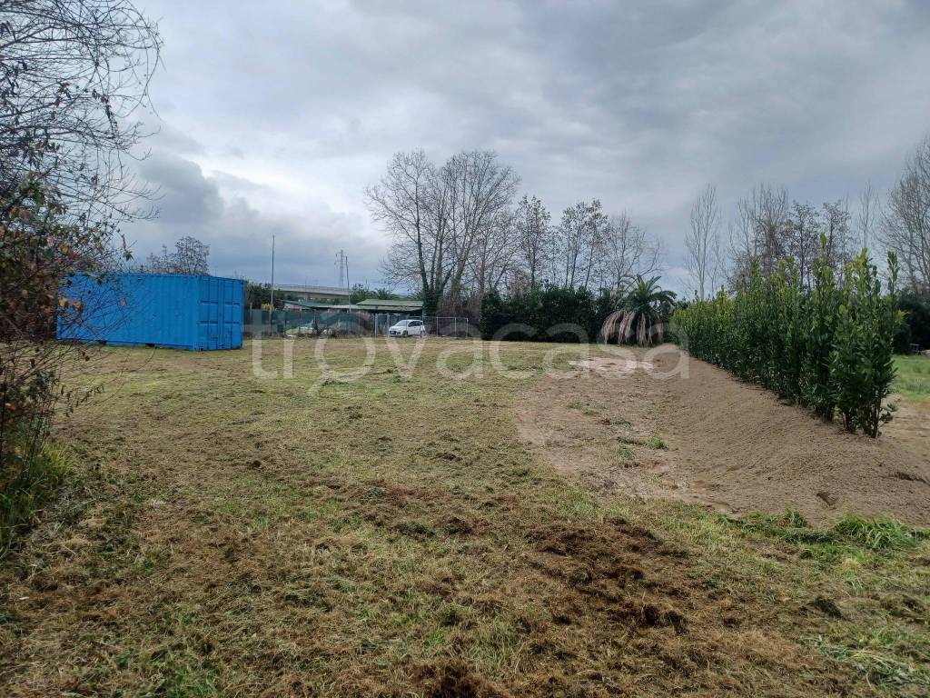 immagine annuncio 1 di 7