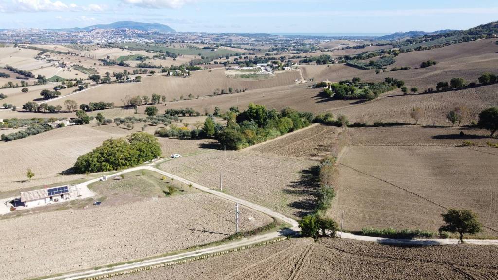 immagine annuncio 12 di 14