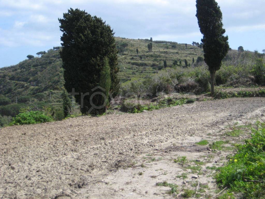 Terreno Agricolo in vendita a Messina strada Provinciale Sparta Massa San Giorgio, 0