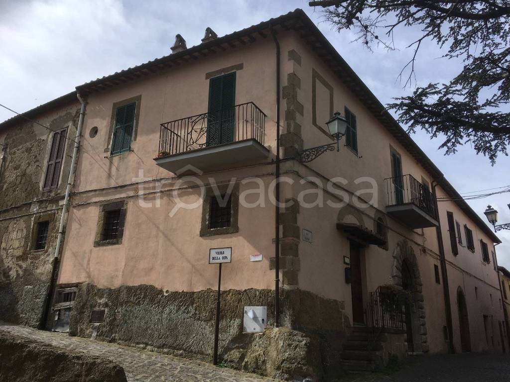 Appartamento in in vendita da privato a Cellere via Giuseppe Mazzini, 48