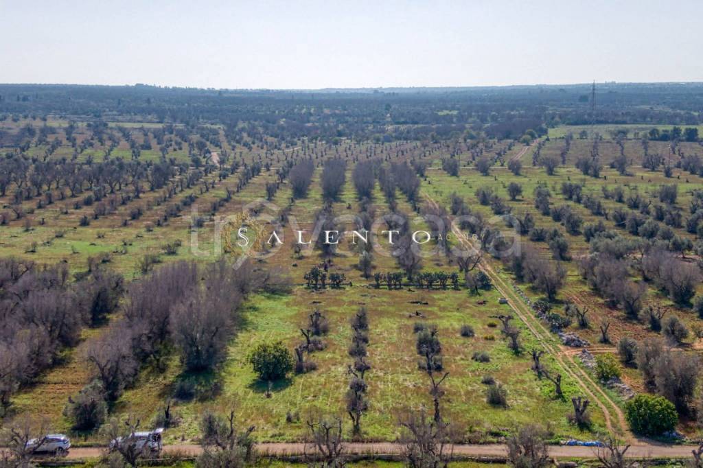 Terreno Agricolo in vendita a Ugento sp72,