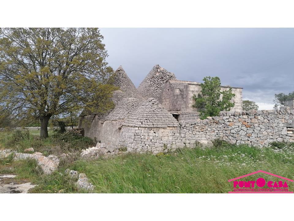 immagine annuncio 2 di 4