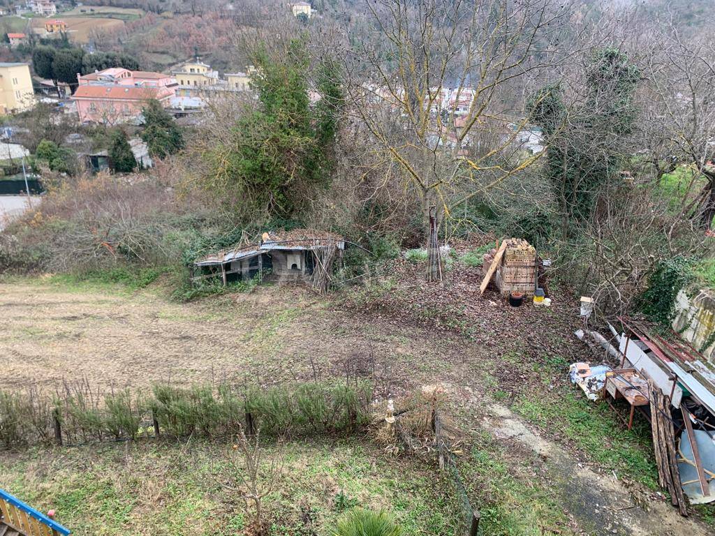 immagine annuncio 6 di 8
