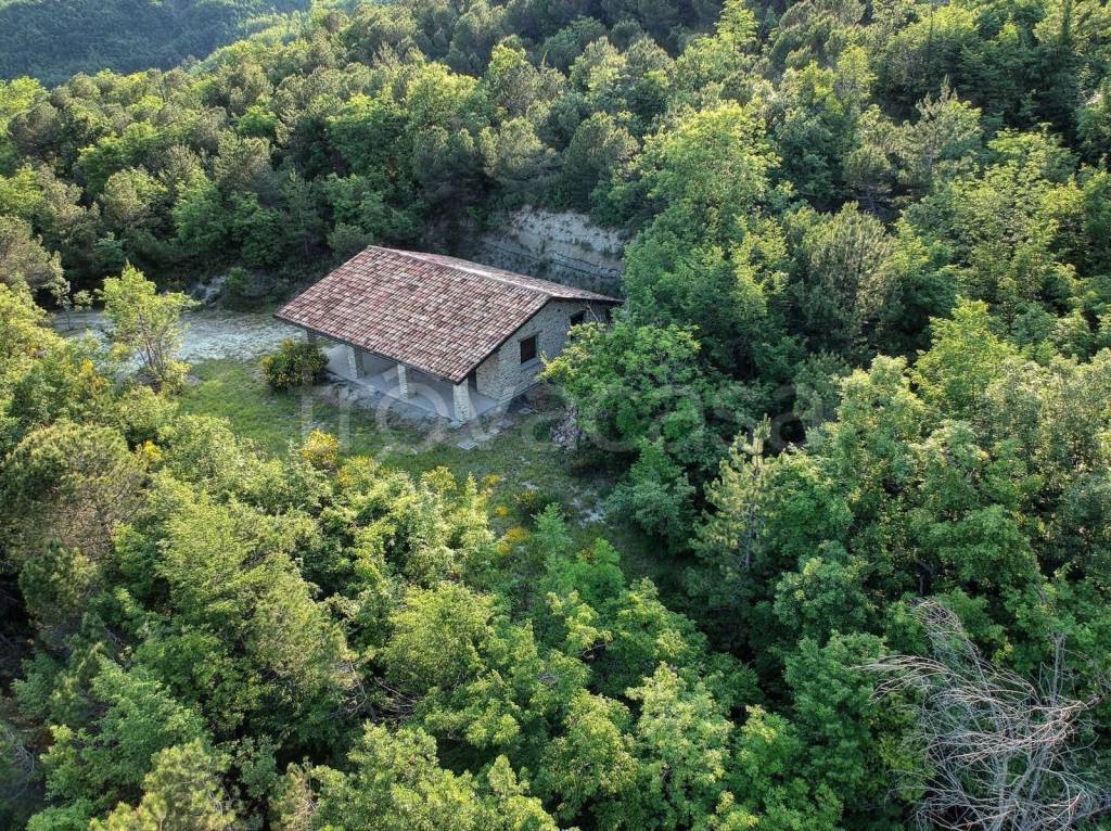 Villa in in vendita da privato a Mercato Saraceno sp128