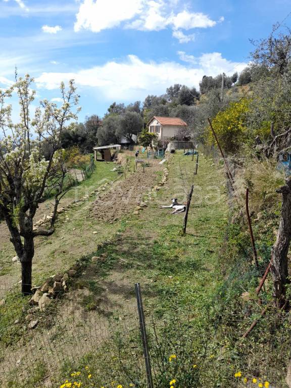 immagine annuncio 8 di 9