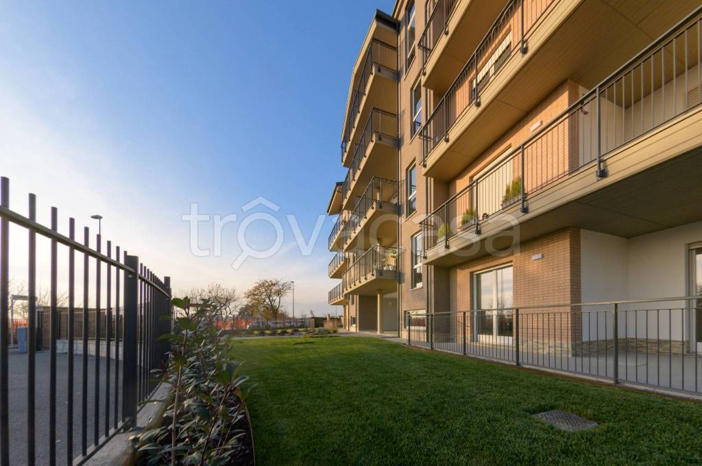 immagine annuncio 12 di 15