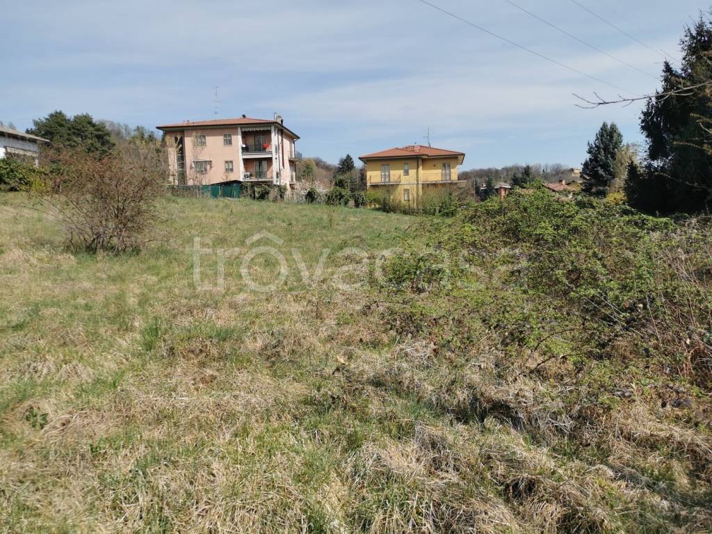 immagine annuncio 2 di 11