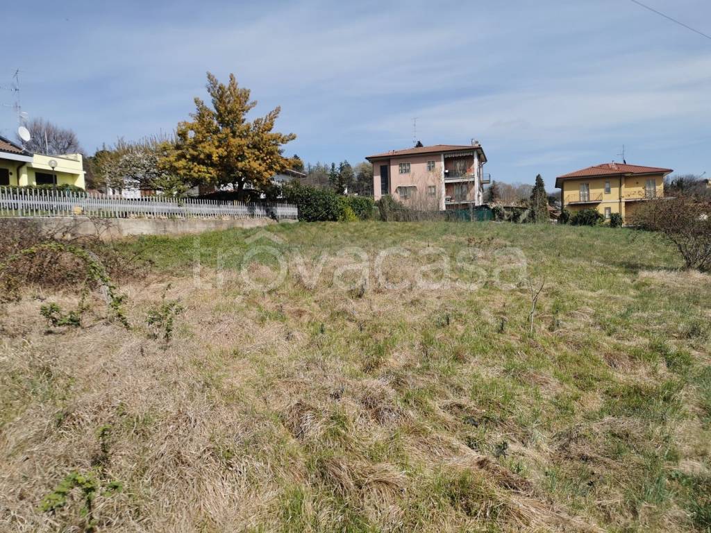 immagine annuncio 6 di 11